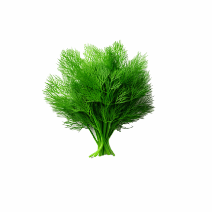 Rezene