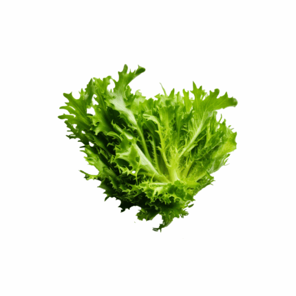 Radika