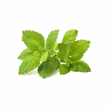 Limon Çiçeği