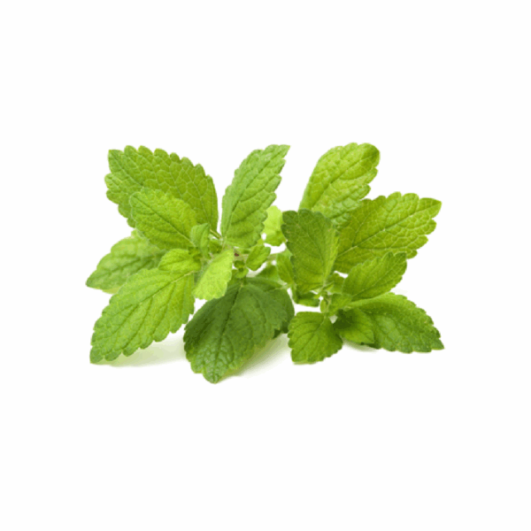 Limon Çiçeği